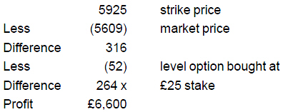 Buying Put Options