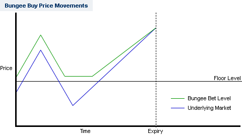 Bungee buy price movements